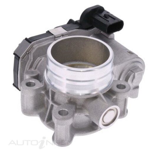 Fuel Injection Throttle Body