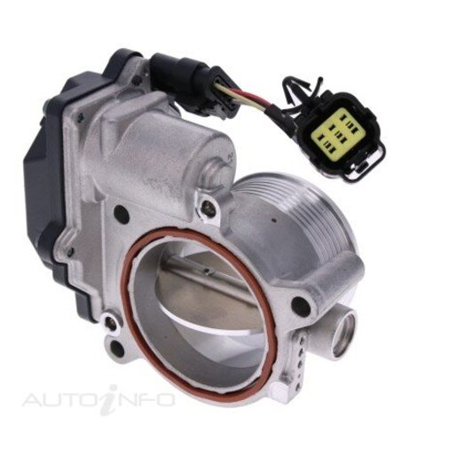 Fuel Injection Throttle Body