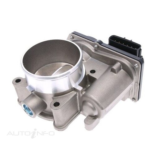 Fuel Injection Throttle Body