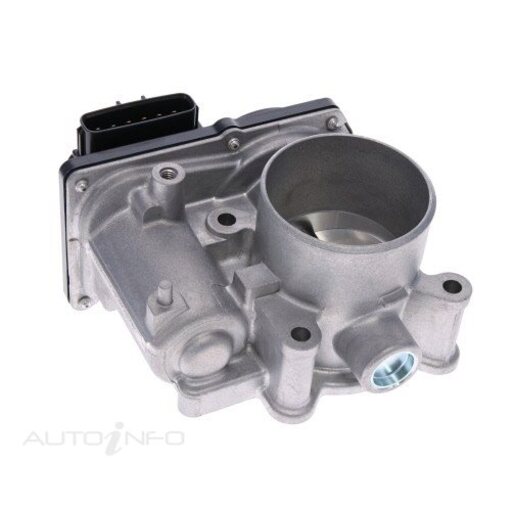 Fuel Injection Throttle Body