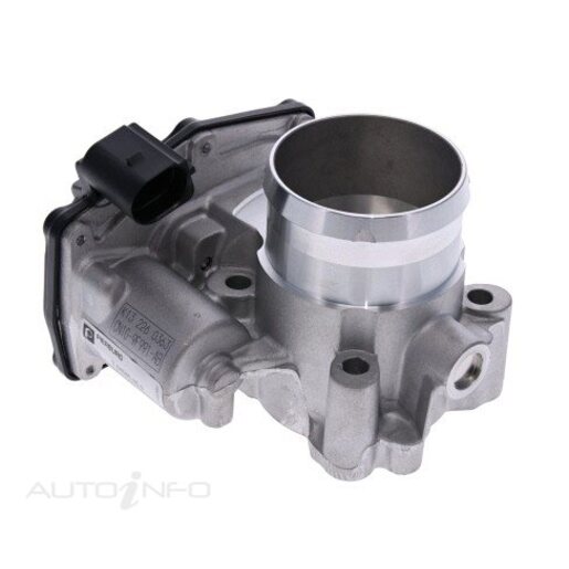 Fuel Injection Throttle Body