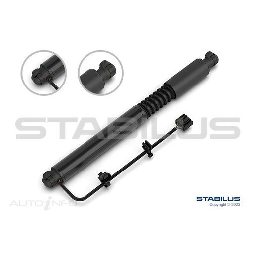 Rear Door Automatic Strut Side Opening