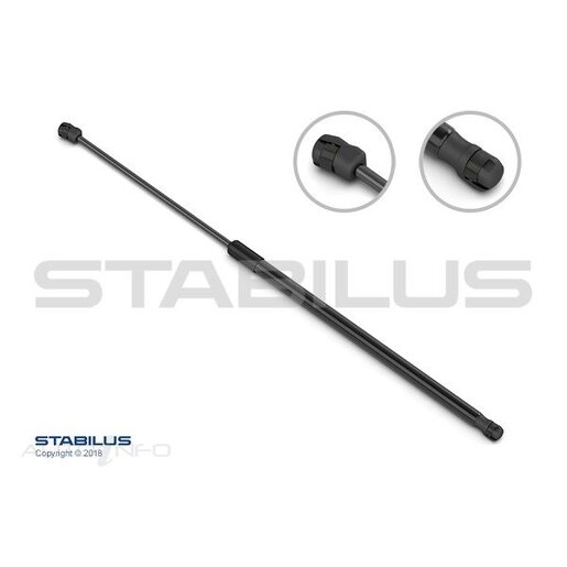 Rear HatchTailgate Gas Strut