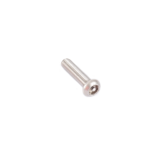 Rhino-Rack Security Screw Stainless Steel M6 x 25mm - B137-BP