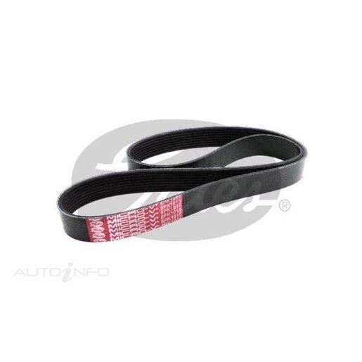 Dayco Poly-V Belt - 8PK1015