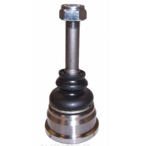 Protex Front Lower Ball Joint - BJ166