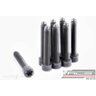 BOLT KIT FW BMW 10 x 1.0 x 62 8