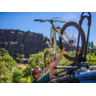 Yakima FrontLoader Lockable Rooftop Upright Bike Mount - 8002104
