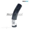 Radiator Lower Hose