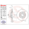 Brembo Disc Brake Rotor - 09.5745.21