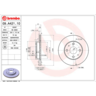 Brembo Disc Brake Rotor - 09.A421.10