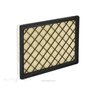 RYCO AIR FILTER