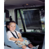 Dreambaby Adjustable Car Window Shade Roll-Up - F207