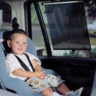 Dreambaby Adjustable Car Window Shade Roll-Up 2 Pack - F2072