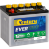Century EverRide Maintainable Battery - 160101