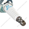 NGK 4855 Nickel Spark Plug - DR8EB 