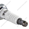 NGK 7993 Racing Plug - R5724-10