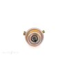 Bosch Fuel Injection Pressure Regulator - 0438161001