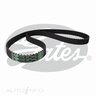 Gates Timing Belt - T179