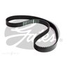 Gates Timing Belt - T1604