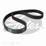 Gates Timing Belt - T147