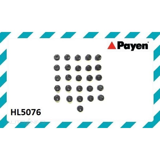 Payen Gaskets Rocker Cover Gasket Bolt Seal Set - HL5076