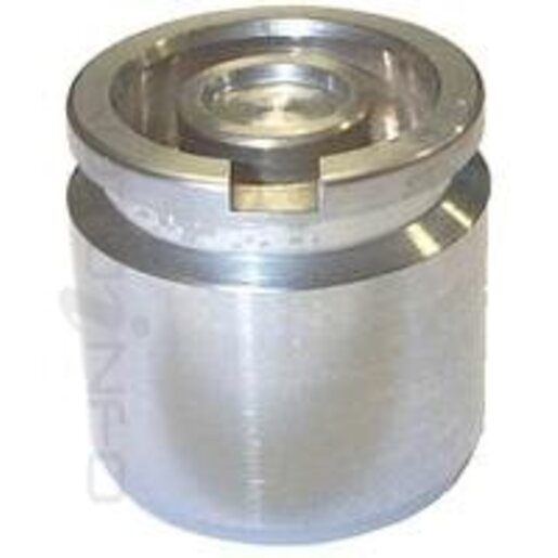 Protex Disc Caliper Piston - Rear - DB2925