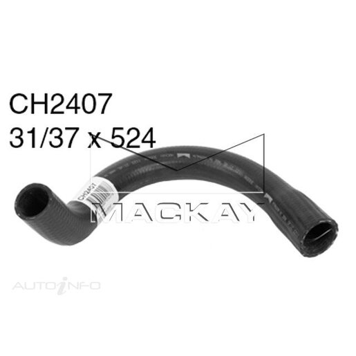 Radiator Lower Hose