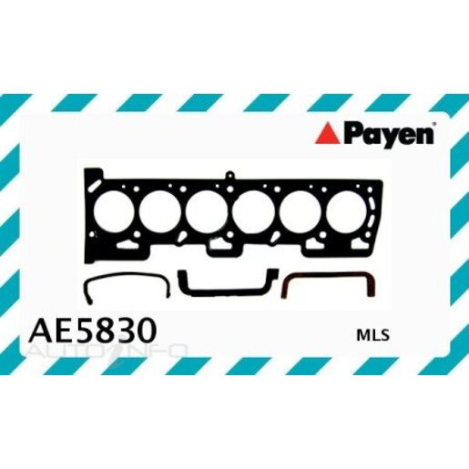 Payen Gaskets Head Gasket - AE5830