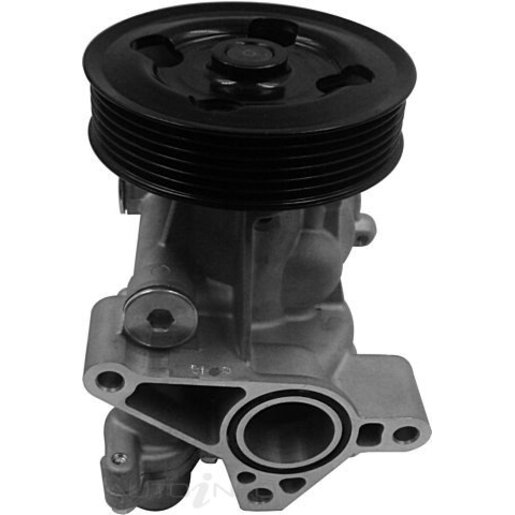 Protex Water Pump - PWP6549