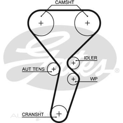 Gates Timing Belt - T1095