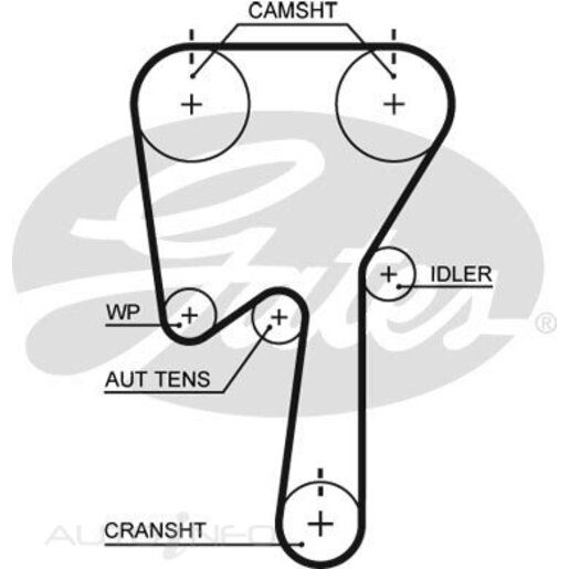 Gates Timing Belt - T311