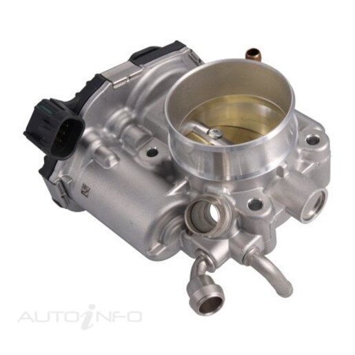 Fuel Injection Throttle Body