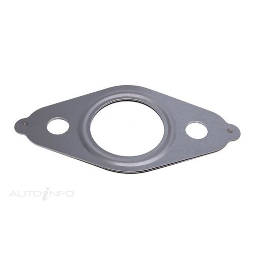 EGR Cooler Gasket