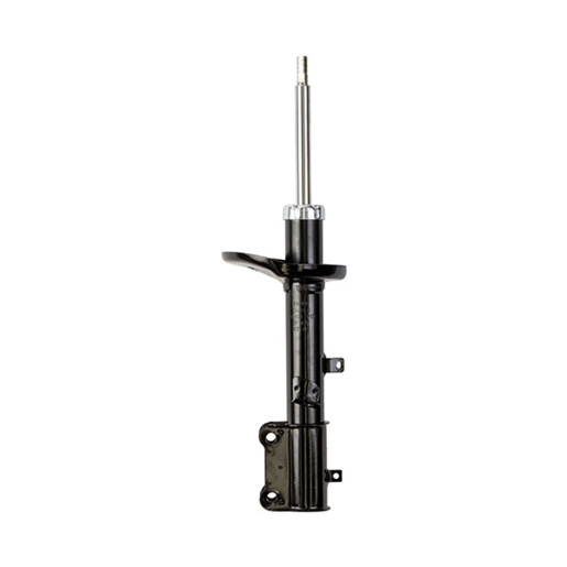 Roadsafe STR Sealed Strut - R600100