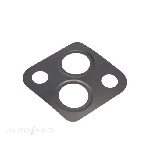 EGR Valve Gasket