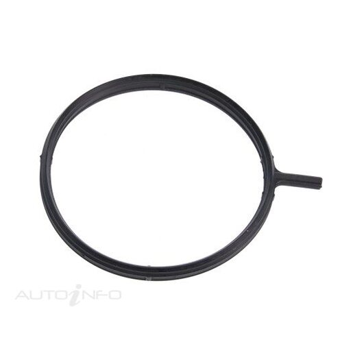 Fuel Injection Throttle Body Gasket