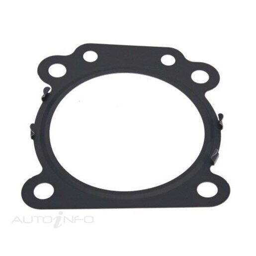 Fuel Injection Throttle Body Gasket