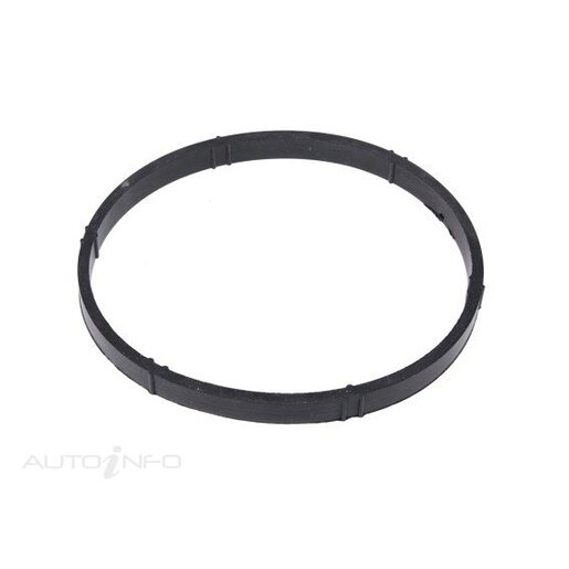 Fuel Injection Throttle Body Gasket