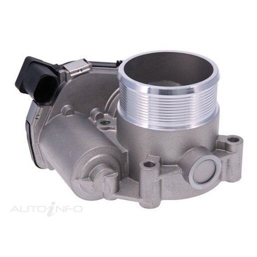 Fuel Injection Throttle Body