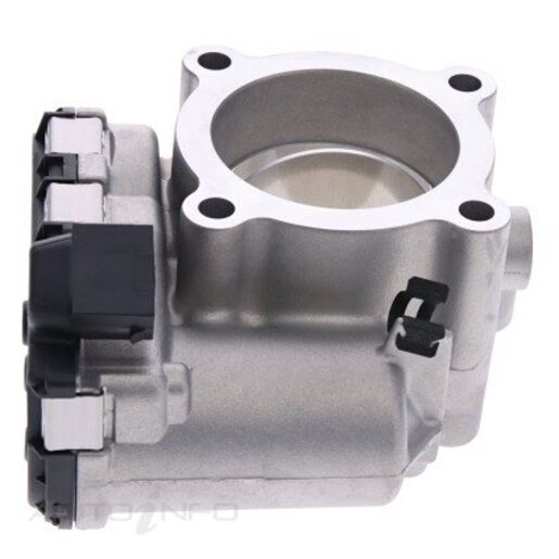 Fuel Injection Throttle Body