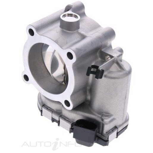 Fuel Injection Throttle Body