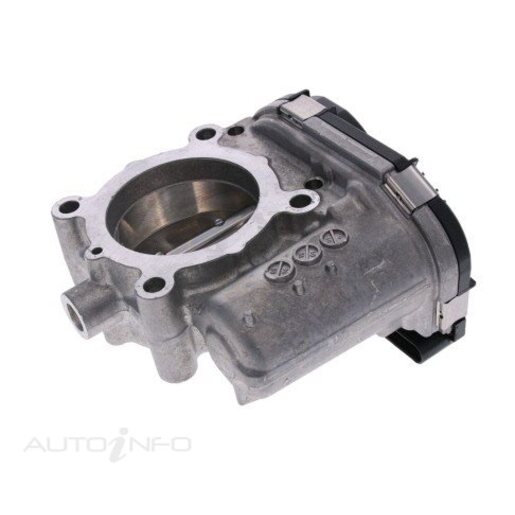 Fuel Injection Throttle Body