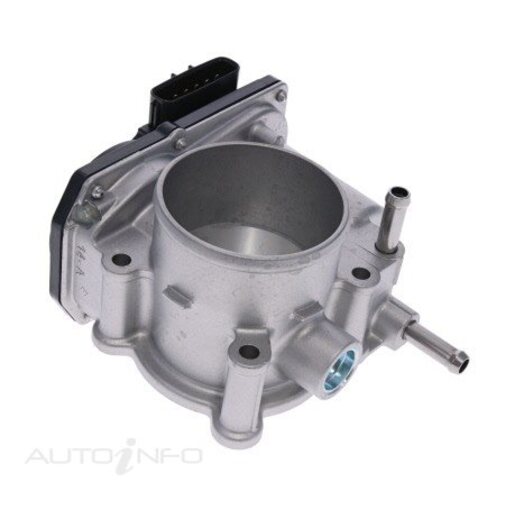 Fuel Injection Throttle Body