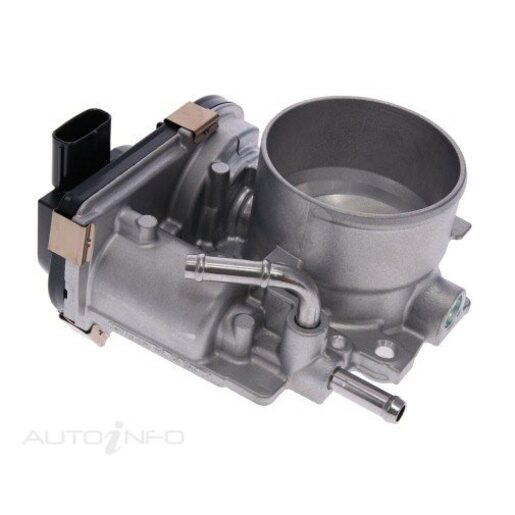 Fuel Injection Throttle Body