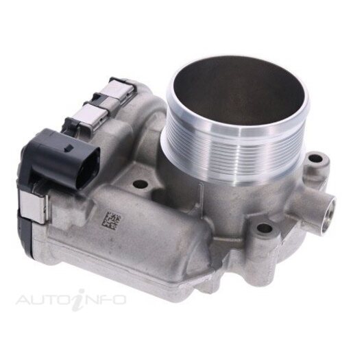 Fuel Injection Throttle Body