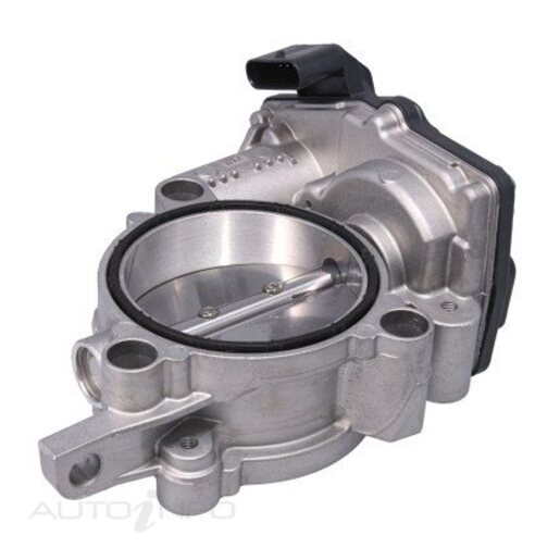 Fuel Injection Throttle Body