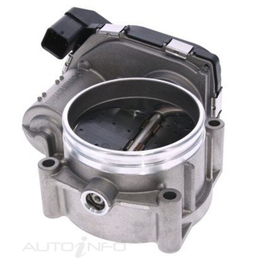 Fuel Injection Throttle Body