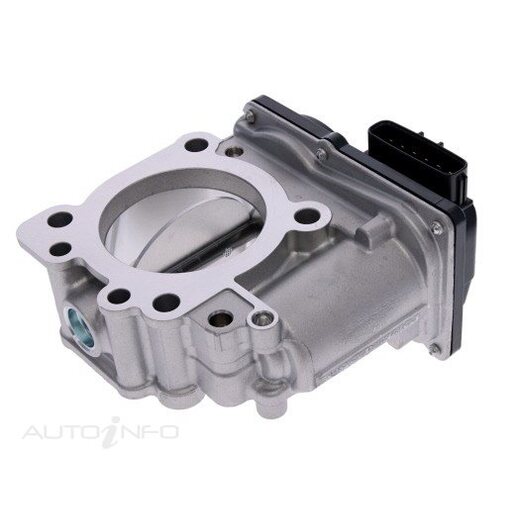 Fuel Injection Throttle Body