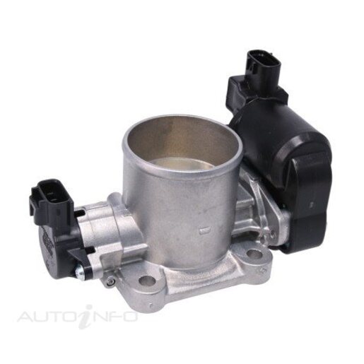 Fuel Injection Throttle Body